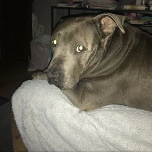 Meet your Posher, Vojislav